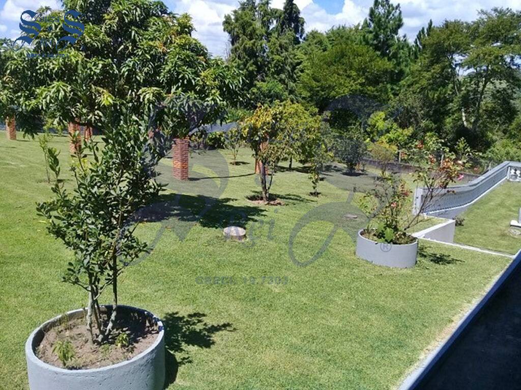 Fazenda à venda com 4 quartos, 4200m² - Foto 3